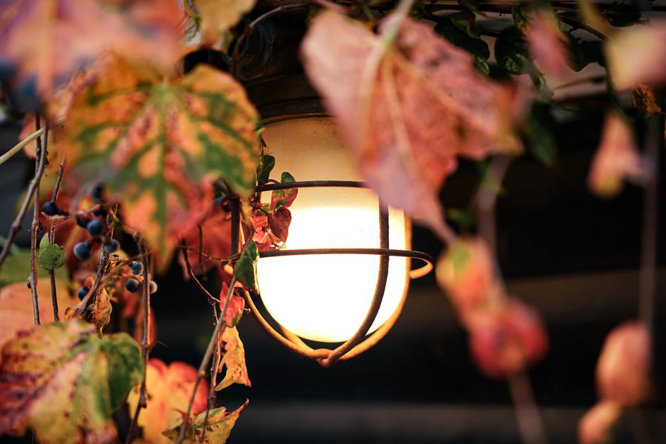 Gezellige smart verlichting in warme herfstkleuren.